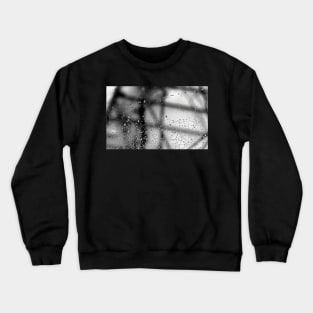 Black & White Photograph Dew Art Spider Web Spooky Halloween Photography Abstract Crewneck Sweatshirt